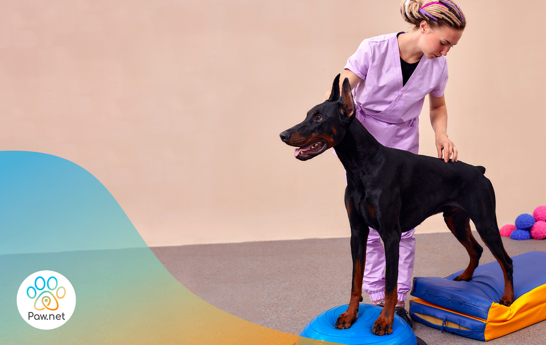 Scopri di più sull'articolo Dog Balance Fit®: la ginnastica posturale per i nostri amici a 4 zampe